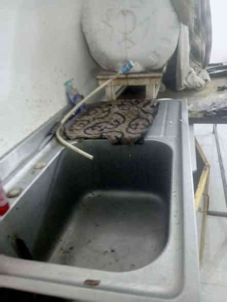 سلام عليكم اعزائي. غراض محل سمك كامله مكمله للبيع مڪانه الناصرية الاسكان الصناعي نهاية شارع الجامع على حولي 
الاتصال اوالاستفسار عل الرقم الاتي: ***********
