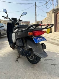 جني دبل بلك • أوراق كاملة • بعقوبة فلكة الامين