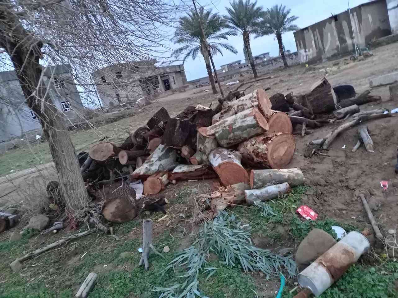 السلام عليكم
يوجد خشب 
للبيع اتصل وتدلل 
***********
