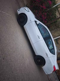 صني هندي • ٢٠٢٢ • طخات خفيفه