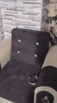 تخم للبيع درجه أولى مناسب عوزه بس غسله مرتبه جاهز مكلف بالنشر الاتصال على صاحب التخم ‏‏‪***********‬‏أستاذ موفق
