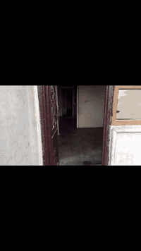 للايجار طابق ارضي عسكري غرفتين نوم  واستقبال ومطبخ 
***********
