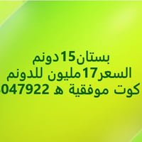 ١٥ دوانم • طابو • كوت الموفقيه