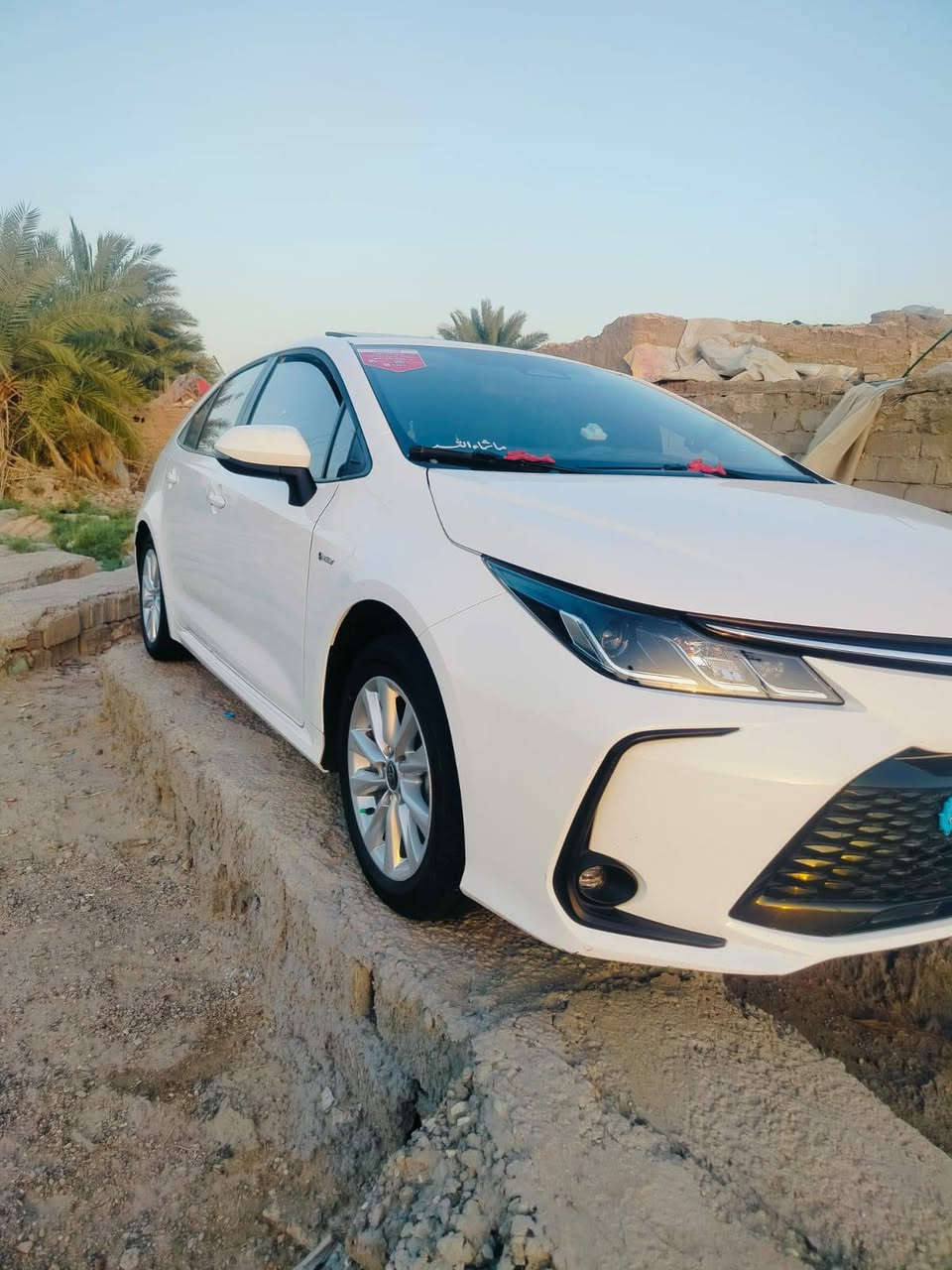 السلام عليكم
🚘 كورلا هايبرد 2025 
📜 المواصفات 👇
🚘 خليجي 
🚘 17 الف كيلو متر
🚘 الموديل 2025
🚘 سعة المحرك 1,8L
🚘 مرتبط بناقل حركة أوتوماتيكي 
🚘 عدد AIR BAG 8
🚘 سلايد رووف
🚘 لايت زينون 
🚘 حجم الاطار 205/55R16 
🚘 ويل كب 16
🚘 مفتاح التشغيل بصمة
🚘 دشبول ديجيتال 
🚘 شاشة اصلية
🚘 كاميرا 
🚘 مثبت السرعة Cruise
🚘 تحديد المسار
🚘 المودات والأوامر الصوتية
🚘 فحص أنظمة السيارة 
🚘 حساسات ضغط اطارات 
🚘 تبريد شاشة
🚘 قطعتين تبريد
🚘 هاند بريك بصمة
🚘 نظام مانع الانزلاق 
🚘ا ISOFIX    ايزو فكس
🚘 اوتو هولد Auto Hold 
🚘 اشارة في المرايا الجانبية
🚘 مخرج منفذ الطاقة
🚘 ا  Bluetooth 

📍 العنوان الديوانية المركز

‼️ السيارة محجوزة للشركة وبظمانتي ‼️ 

💵 السعر 140 ورقة وبيها مجال بسيط.


**إذا كنت صاحب هذا الإعلان وتريد حذفه لأي سبب، رجاءا أرسل رسالة إلى الدعم الفني**
