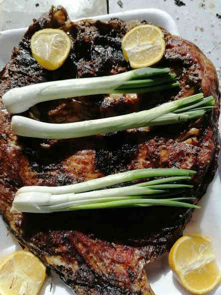 مسكوف ابو يزن لاسماك،  للطعم عنوان
سعر الكيلو 7500

المكان قرب موكز صحي
توجد خدمه توصيل.
***********
***********
نتواجد من 8صباحا الي 6مساء
