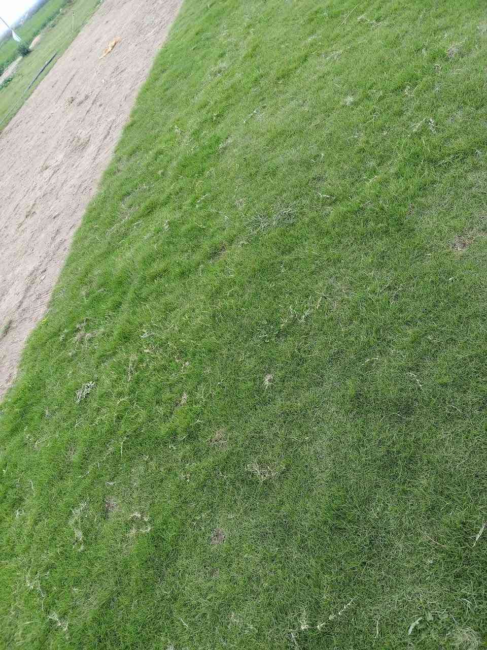 ***********
توصيل مجاني
ثيل ديالى الطبيعي ، 🍀☘️🍀☘️
متوفر كافة انواع الثيل 
الثيل امريكي🌿الثيل هندي🌿الثيل ايطالي 🌿ثيل فرنسي🌿
تجهيز...
مشاتل🌴👇
دوائر حكوميه🏦👇
منازل🏡👇
منتزهات🏄
موجود خدمة توصيل 🚕🚕 لكل محافظات العراق 
للطلب التواصل مع الصفحة 
.............................................
چيمه نی دیالی سروشتی،🍀🍀
هەمو جۆرێ چیمەن مان هیە
چمەنی امریکی🍀چيمه نى هندی🍀چیمەنی ایتالی🍀چیمەنی فەرنسی
..امادەین بۆ حازر کرنی هموو شوێن..
شتڵ گا🌴
دائيرەی حکومی⛪️
خانوو🏡
گە یاندن هيه بۆ هموو شوێن بعقوبة, ديالى
