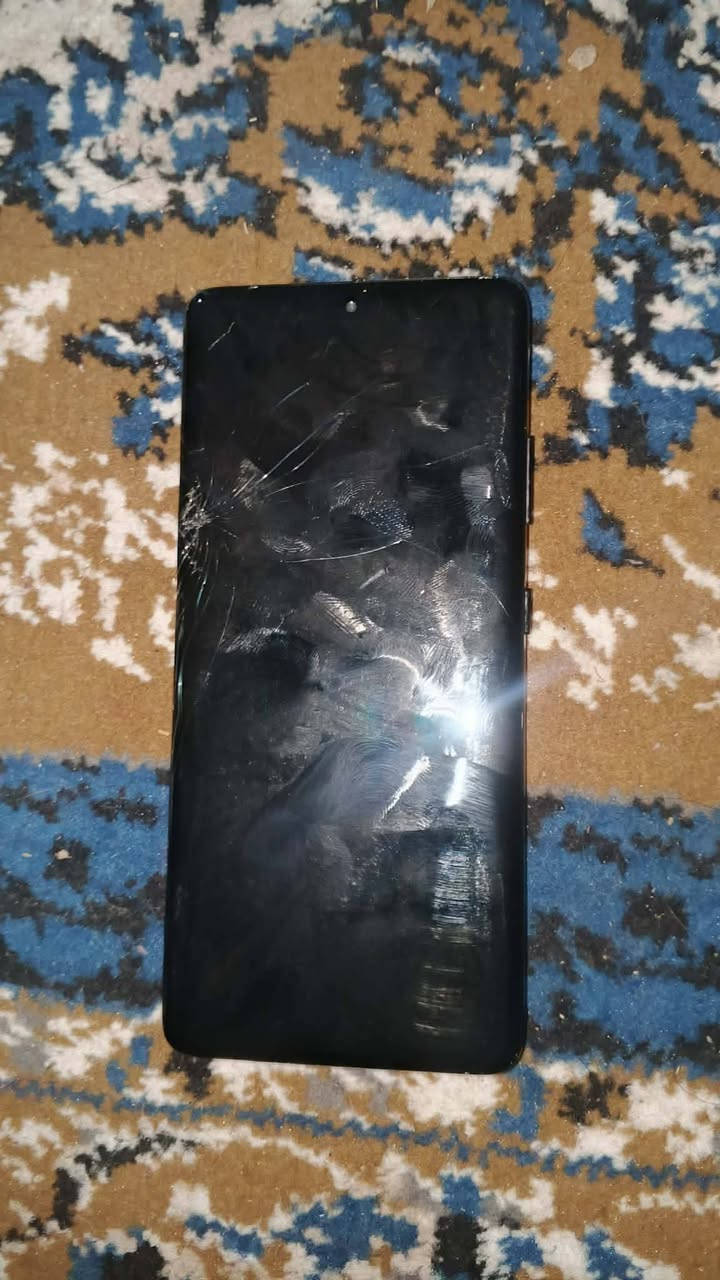 Galaxy S21 Ultra 5G
مكفول 

سعر 225وبي مجال قليل 

بصمه شاسه

وبصمه وجه 

والله جهاز يخبل 

او مراوس بجهاز حسب القناعه ايفون اندرويد شعندك نزل

متواجد خاص

مكاني صويره حي الاسرى


**إذا كنت صاحب هذا الإعلان وتريد حذفه لأي سبب، رجاءا أرسل رسالة إلى الدعم الفني**