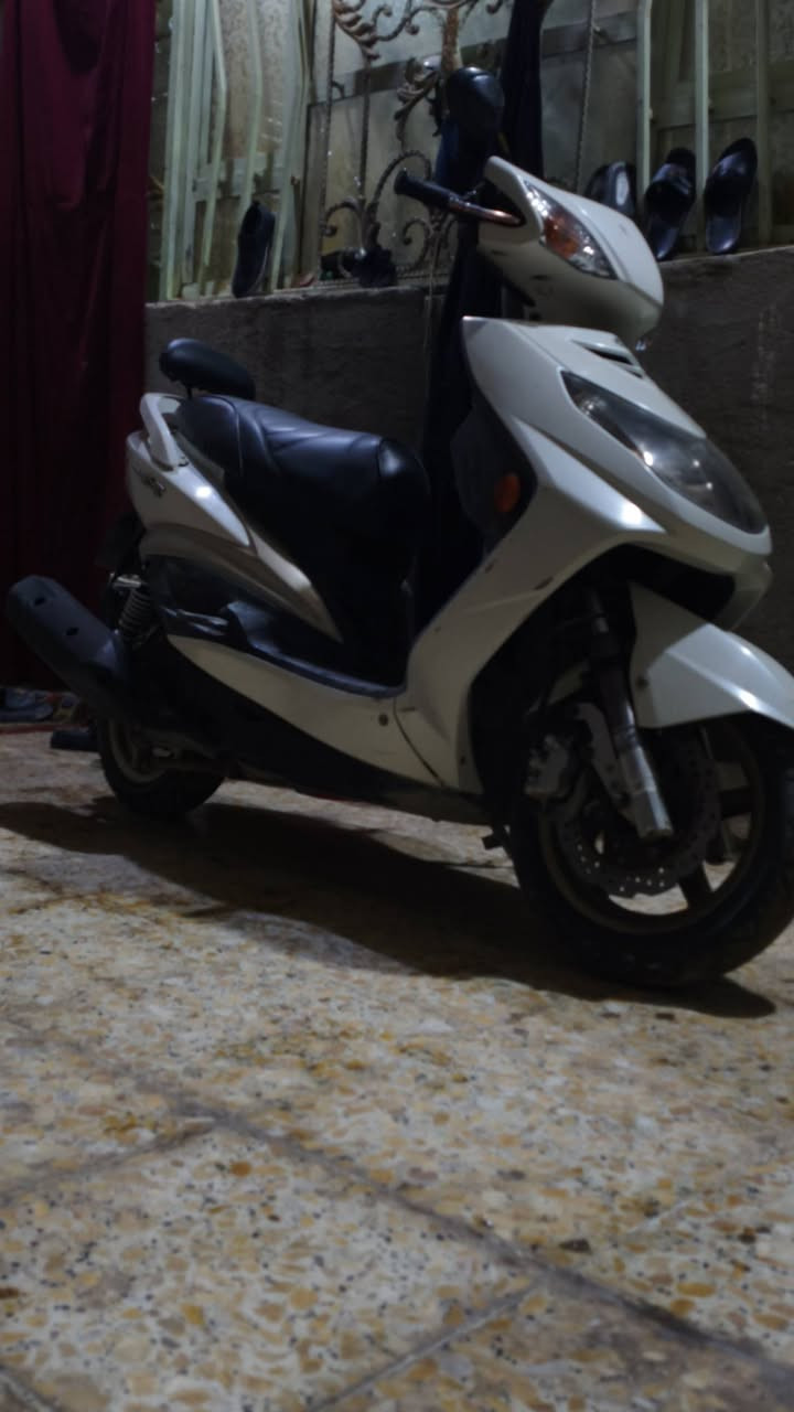 سلام عليكم سكنس فحل نوزل خطين طلاعات دراجه مال رمبه اوراق كامله  بيه صدر امامي وتخم كلج  ويدات بريك  دشبول 3الوان وكشن  ومنضومه مال زنون  ولدات   خلفيه شلعه ومعدل  نكره بكل وقت مكفوله من كلشي  فدوه روحك مو شراي لا طب  مكاني بغداد شعب ***********
