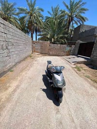 سكنس فحل • كابريتر • معدل