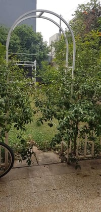 محجل حديقة • ٣ قطع • باب تيل ٢