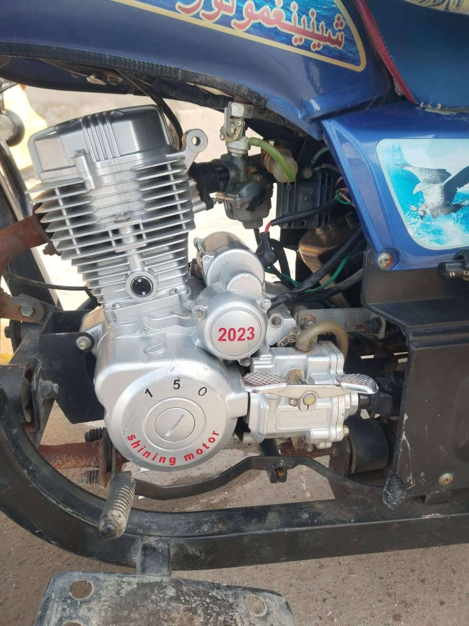 ستوته 2023نضافه خير من الله 
رقم نكليزي جديد مداور ثاني يوم 
المكان الديوانيه مركز مامتواجد 
علفيس المو شراي لا يتصل 
***********
