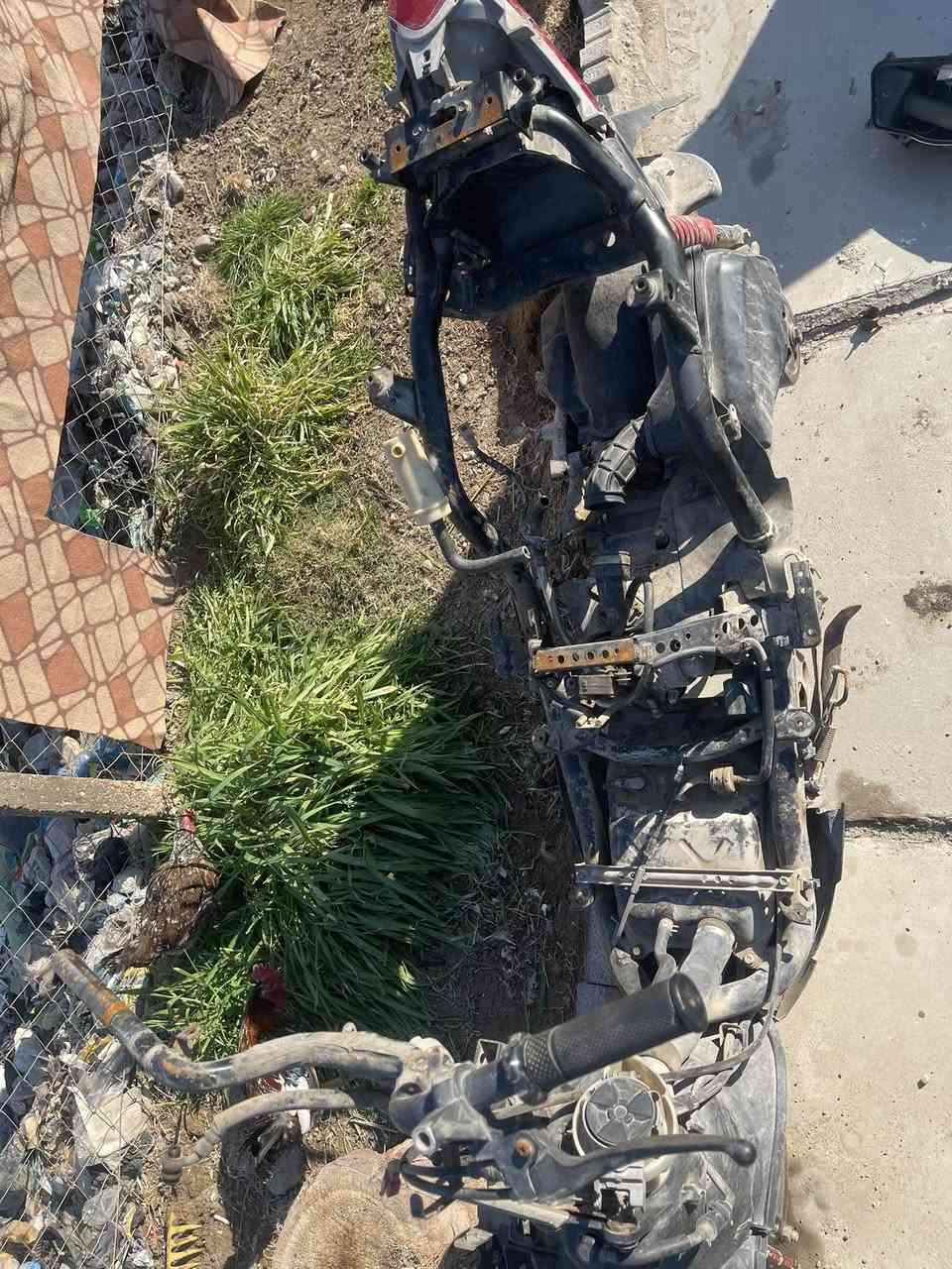 سلام عليكم سكنس تفصيخ اي وحد يحتاج غراض منهة يتصل ***********
