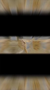 أسمنت أسود • البصرة ساحة سعد • توصيل بالبصرة