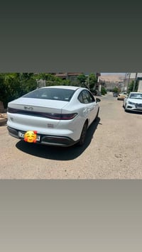 بي واي دي سيل • ٢٠٢٥ • سليمانية