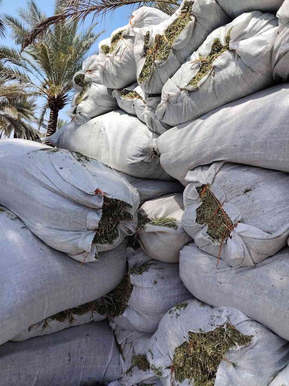 السلام عليكم يوجد تبن جت مال سنه حصد جديد  درجه اولى مكاني بابل الحمزه الغربي ***********
