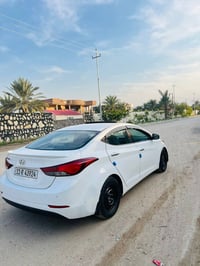 انتره • ٢٠١٥ • عين التمور