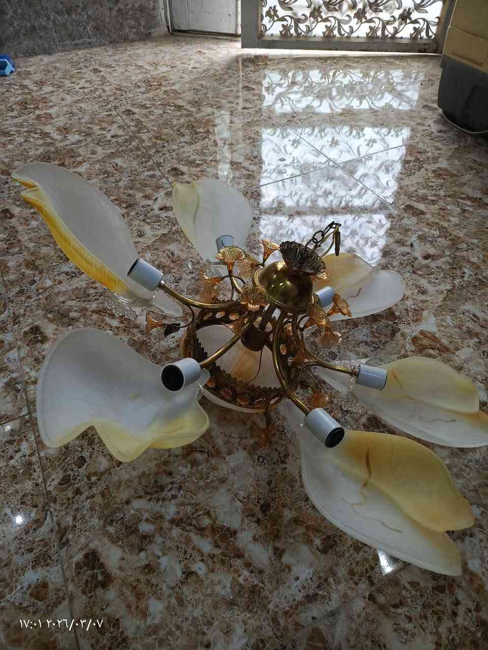 زوج ثريات شغالات 
المكان نجف كوفه علوه الفحل
ب30 للاستفسار خاص او اتصل على الرقم 
***********
