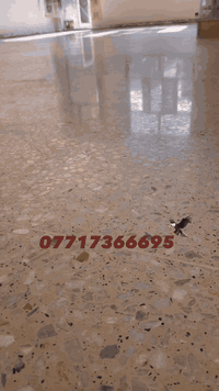 *********** سجاد علي
