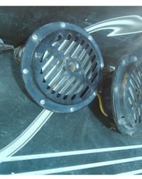 هورن عنجه • أصلي ألماني • شراي