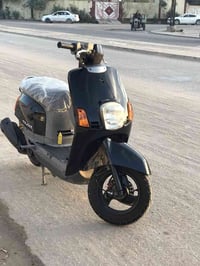 ماكس بوليس • كفالة عام • مكينة بلادي