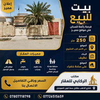 حي الامير • ٢٥٠م • للبيع