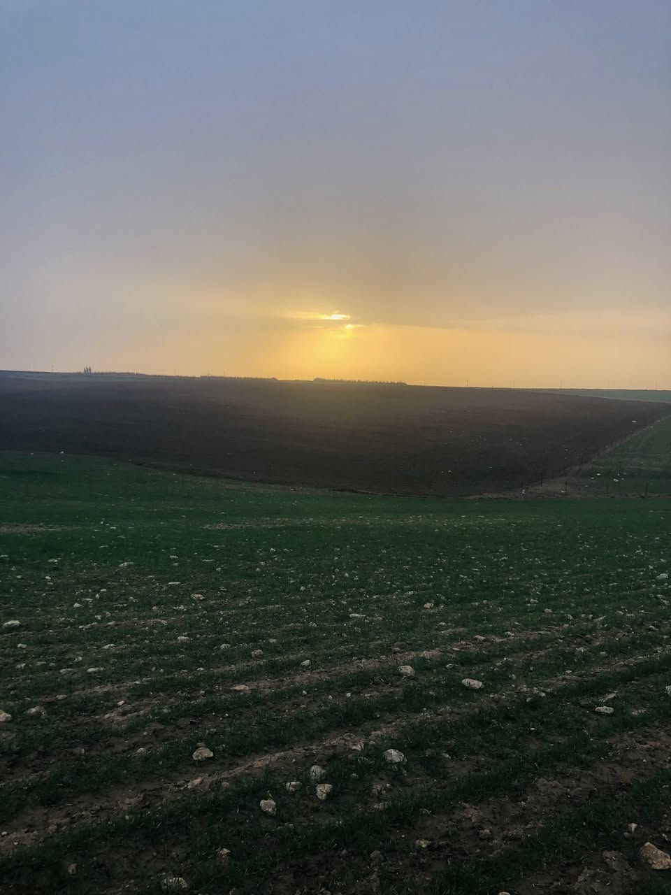 السلام عليكم ارض 625متر ربع دونم للبيع ✅
الموقع قوسيات قرب كلية الحياة يم معمل زفت✅
سند ٢٥ابيض ✅
سعره ١١مليون 
تواصل خاص او اتصل ***********
