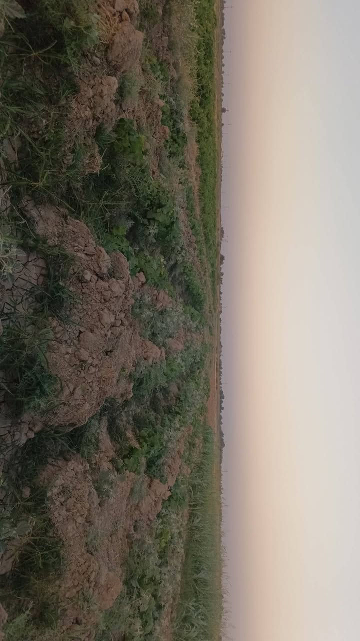 ارض زراعيه للبيع 40 دونم عقد 35 مع بيت بناء عادي متوفر كهرباء خط 11 وخط محولة ماء  اسالة+نهر خاص من الغراف مع مضخة كهربائية وكاز حاليا مزروع بيها مخضر   العنوان واسط قضاء الحي جانب شط  الغراف الايمن تبعد عن شط الغراف والتبليط 700 متر للتواصل خاص او واتساب او اتصال على الرقم ***********

