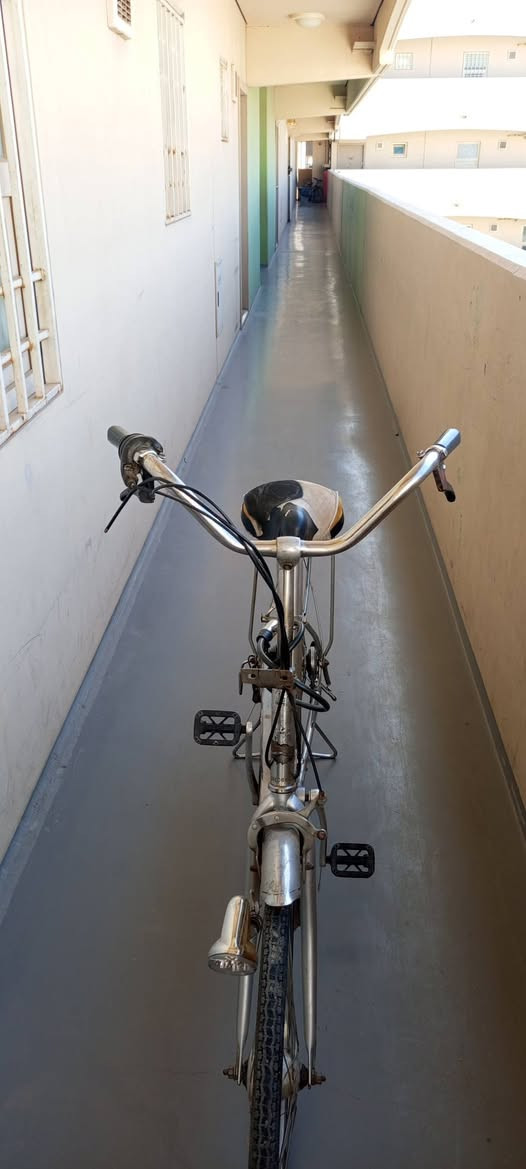 السلام عليكم
بايسكل  للبيع او مراوس 

الحجم 26
سعره مناسب 

الرقم واتساب فقط 

***********
