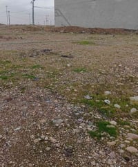 أم الربيعين حليلة • ٢٠٠م • جمعية