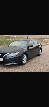 التيما • ٢٠١٧ • سوران