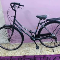 بايزكل • لون فيلي • دينمو شغاله