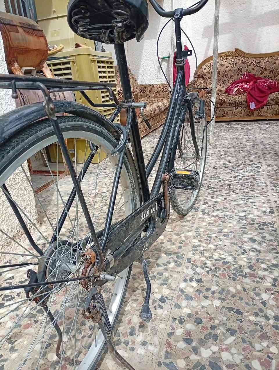 باسكل للبيع موديل 15 حجم 26 شركه كلوفي غراضه كامله باسكل شوفت عينك سعر 80 وبي مجال شراي بيك خير ودلل مكاني كربلاء حي العسكري مال عابد قرب حديقه النور


**إذا كنت صاحب هذا الإعلان وتريد حذفه لأي سبب، رجاءا أرسل رسالة إلى الدعم الفني**