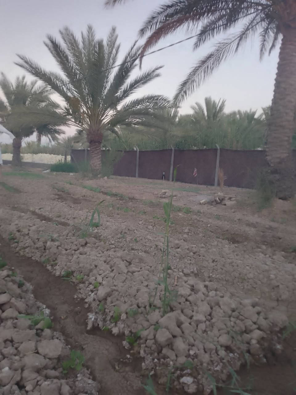 نصف دونم للبيع سند25 كربلاء الابراهمية يبعد عن الشارع 700مترتقريبا خدمات كاملة مع هيكل لاستفساراتصل ***********

