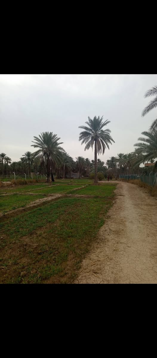 يا الله سلام عليكم 
#ارض زراعيه للبيع ترهم مزرعه ترهم سكن كلشي ترهم 
المساحه دونم ونص كما موضح ب الصور  او تريد اكثر موجود 
#سند ٢٥ طابو تحويل مباشر ب اسمك
الارض دولار يعني تبقيه يوم تصعد فوك سعره ضعف
#متوفر جميع الخدمات ماء  كهرباء مولدة شارع 
الموقع/شارع ١٠٠الرابط بزل حجي علي تبعد عن شارع ١٠٠ 
العام ١٠٠ متر 
للاستفسار اكثر اتصل على الرقم وبخدمتك 
‏‪ 0787 689 2247‬‏
