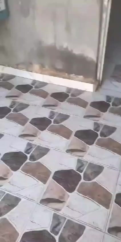 بيت زراعي للبيع. لمساحه 150  بي غرفه وصاله وبراني ومطبخ وحمام داخلي وصحيات خارجيه.  لعنوان. ورة لعمارات جدد نزلت سيد  هاشم   ***********
