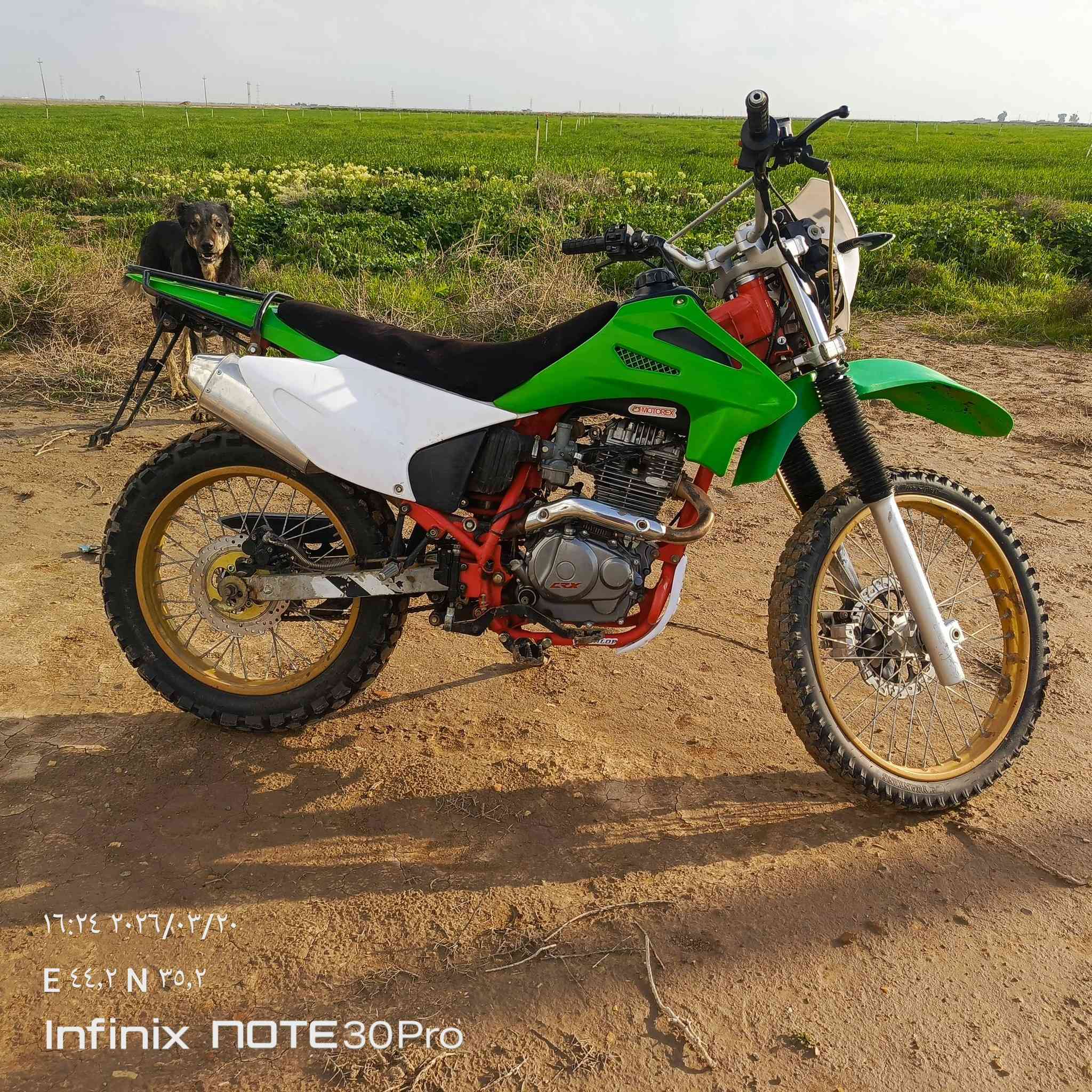 قفاز موديل 23 للبيع او مراوس اب سونك 25او 26اوهيوشة 25للاستفسار ***********
