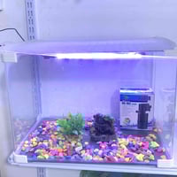 حوض اسماك • ٥٠سم • ٦ سمكات