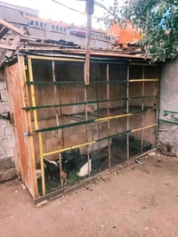 محمية دجاج • ٣م×١م×٢م • كربلاء