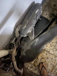 صالنصه • ثعلب • نضيفه