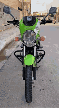 دايوان ماكس • موديل 2023 • أوراق أصولي