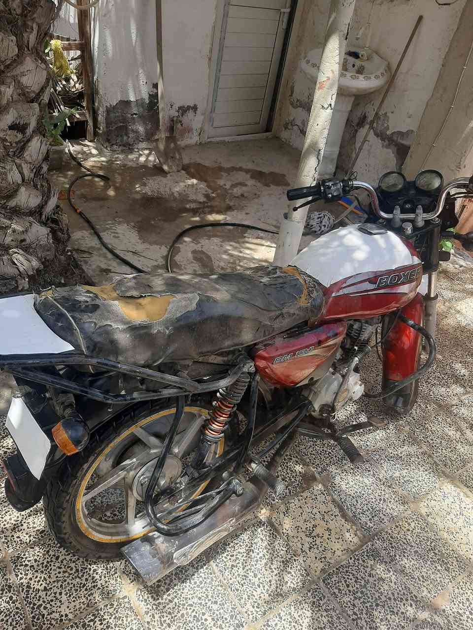 بوكسرا موديل ١٨ أوراق كاملة مكان بلدروز


**إذا كنت صاحب هذا الإعلان وتريد حذفه لأي سبب، رجاءا أرسل رسالة إلى الدعم الفني**