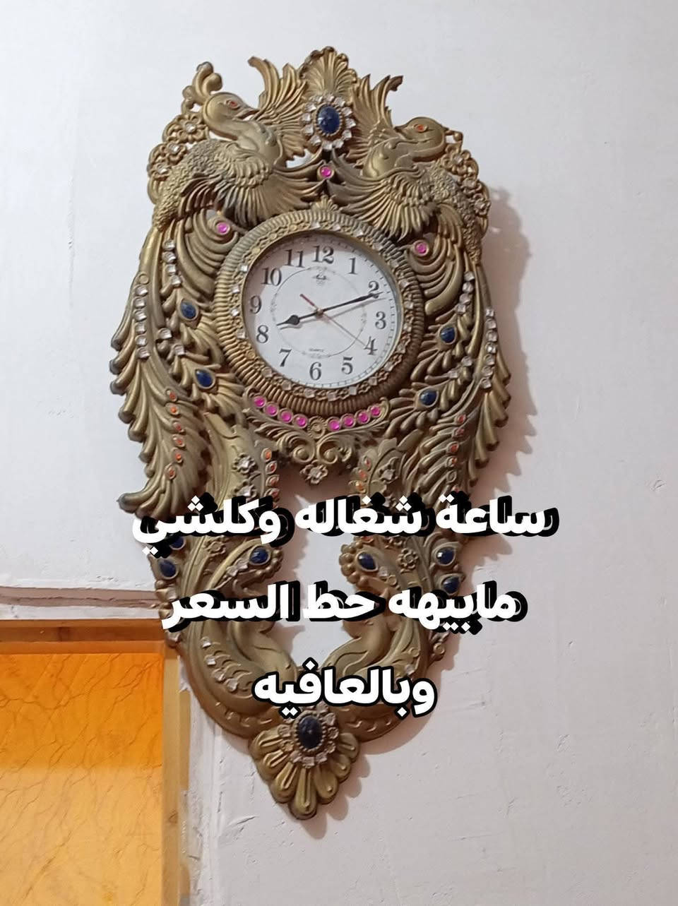 غراض بيت البيع رجان بس الشراي يدخل خاص


**إذا كنت صاحب هذا الإعلان وتريد حذفه لأي سبب، رجاءا أرسل رسالة إلى الدعم الفني**