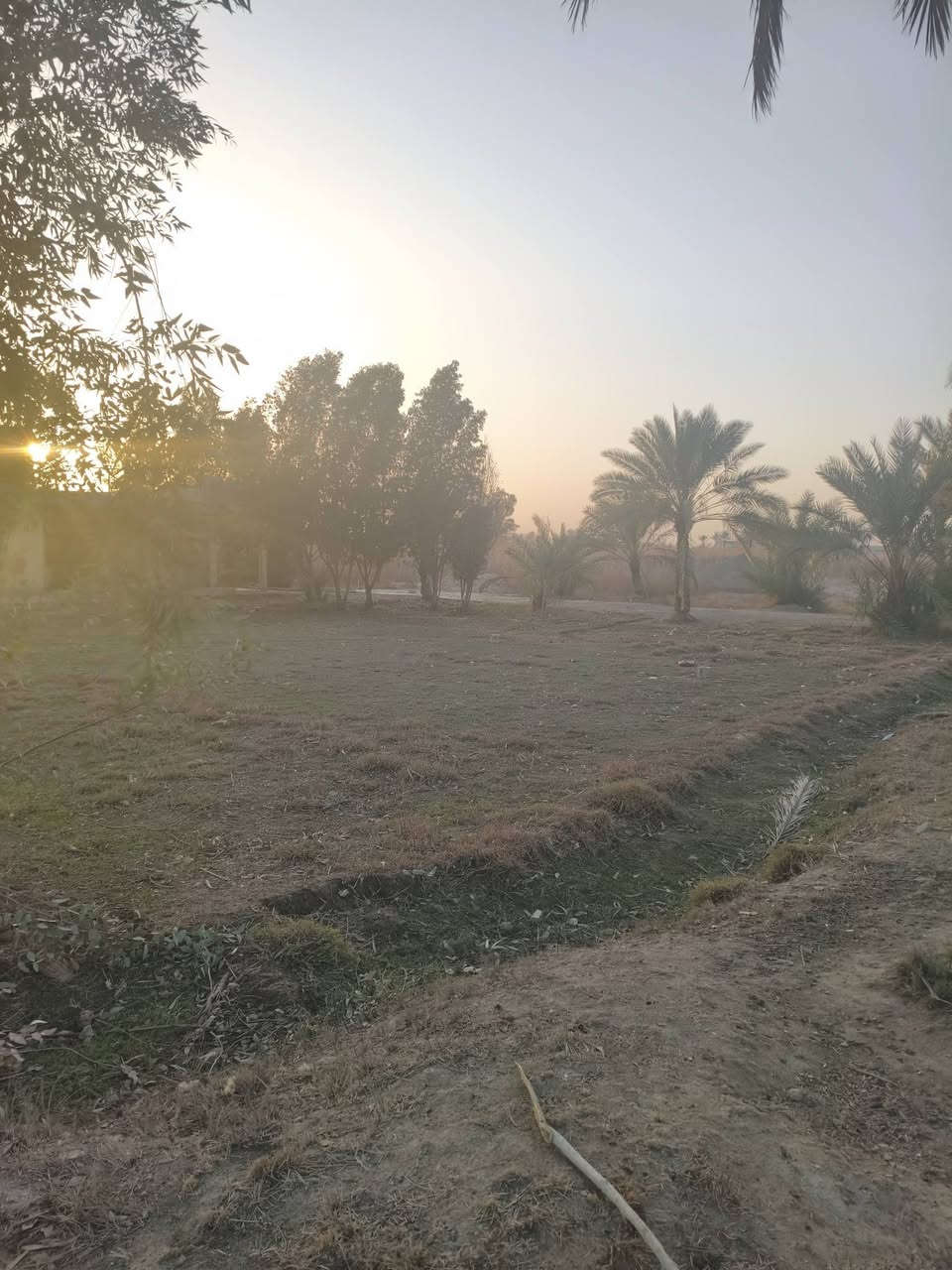 ١٠دونم مع دار تباع ٥ او كامله حسب الطلب طابو المحموديه سند مستقل تبليط كهرباء وماء كامله مع نخيل تقع في اليوسفيه القصر الاوسط ***********
