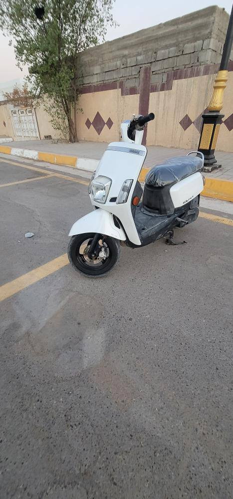 السلام عليكم
دراجة ماكس بوليس للبيع او امراوس الدراجة جديدة كلش مصارللهة شهر من نزلتهة رمبة مكينة وكڤرات جدد البلاد ختم واحد وي المكينة عداد شغال العنوان ديالى بعقوبة فلكة الامين للاستفار خاص او ***********
