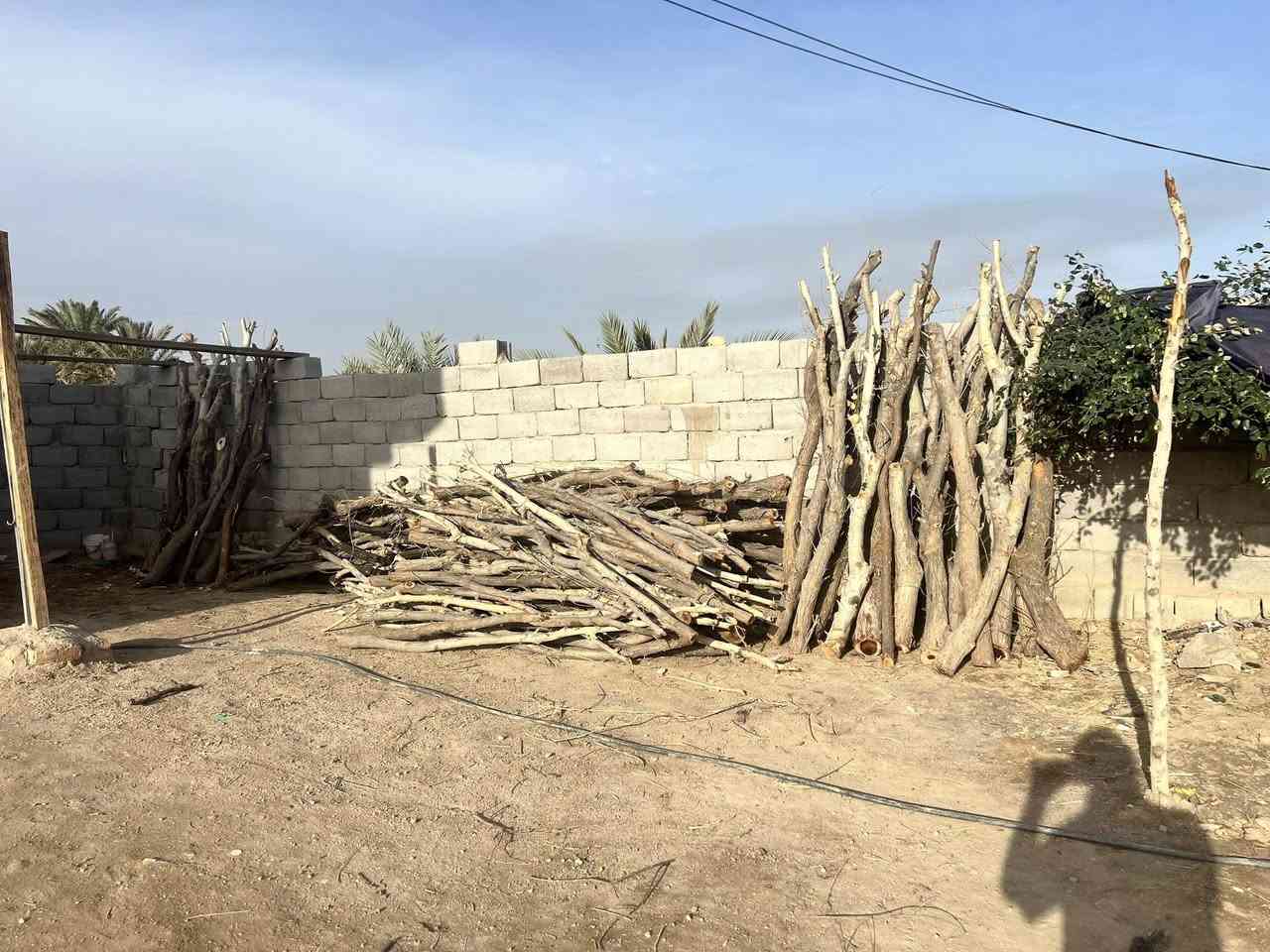 ربود البيع ربد بلف ويريد هاذه رقمي***********
