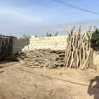 ربود البيع ربد بلف ويريد هاذه رقمي07828901404