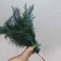 ريشة اصلية • النجف • ديكور