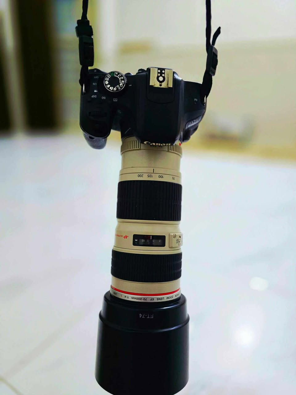 كاميرة 800dكانون نضيفة وياهة عدسات 2 18-55  200-70 وي3بطاريات وشاحنات ثنين واستاند هايدروليك وناقل صور وكابات


**إذا كنت صاحب هذا الإعلان وتريد حذفه لأي سبب، رجاءا أرسل رسالة إلى الدعم الفني**