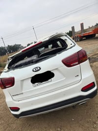 سورنتو • ٢٠١٩ • رقم بغداد