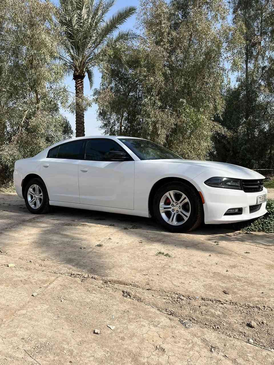 Charger Sxt2020
جارجر موديل 2020
رقم  سليمانية بسمي
جاهزه للخير 
بجم كبس
حادث نص باب عبري فقط
مكينه كير كفاله شرط ع وضع الشركه 
حداديه الشركه مفتوحه
تخم تاير صار اسبوع شاده

المسافة المقطوعة 50 
استخدااام شخصي

حجم المحرك 3600

مواصفات  
داخل اسود
كامره خلفيه
 مصابيح امامية زنون مع بلوجكتر LED .
ويل قياس 17
شاشه وسط مع نظام ملاحة نفكيشن GPS .
 مقاعد أمامية كهربائية
مقاعد أمامية  وتدفئة .
 تشغيل عن بعد . .
 محدد سرعة . .
 كاميرا خلفية دوارة.
حساس خلفي اصل 
السياره كارتون احلى واجدد من الصور 
كله ع البلاد 
 مرايا  ترحيب متحسسة للاضاءة
دخول ذكي
للاستفسار 
***********
مكان السيارة بابل
